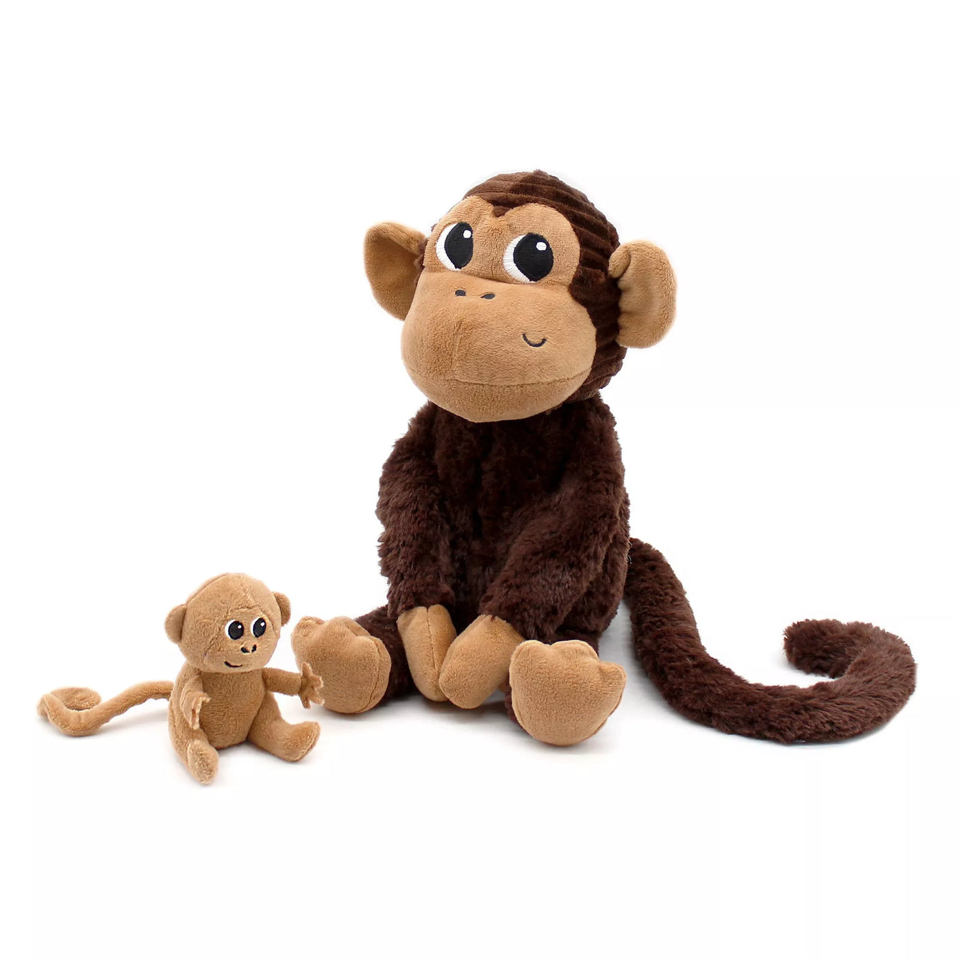 Monkey mom &amp; baby